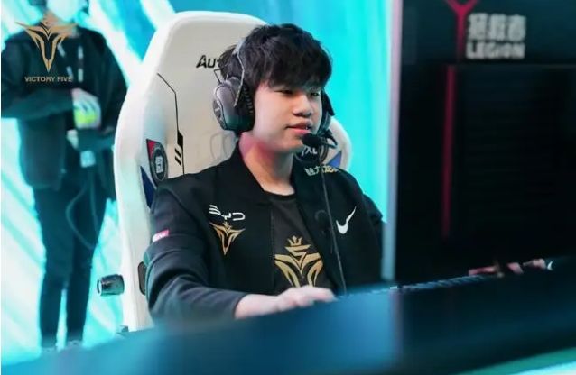 翼卫体系做 翼卫体系做